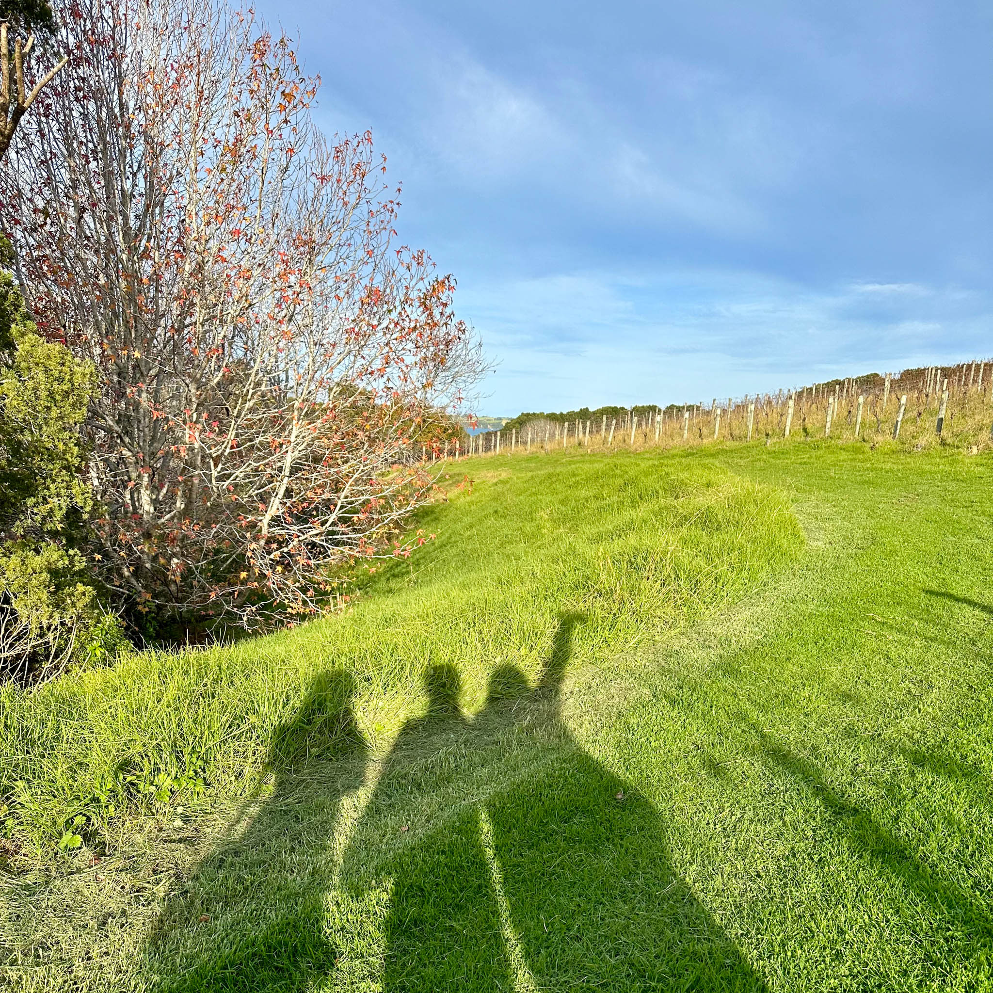 Brick Bay Wines & Sculpture