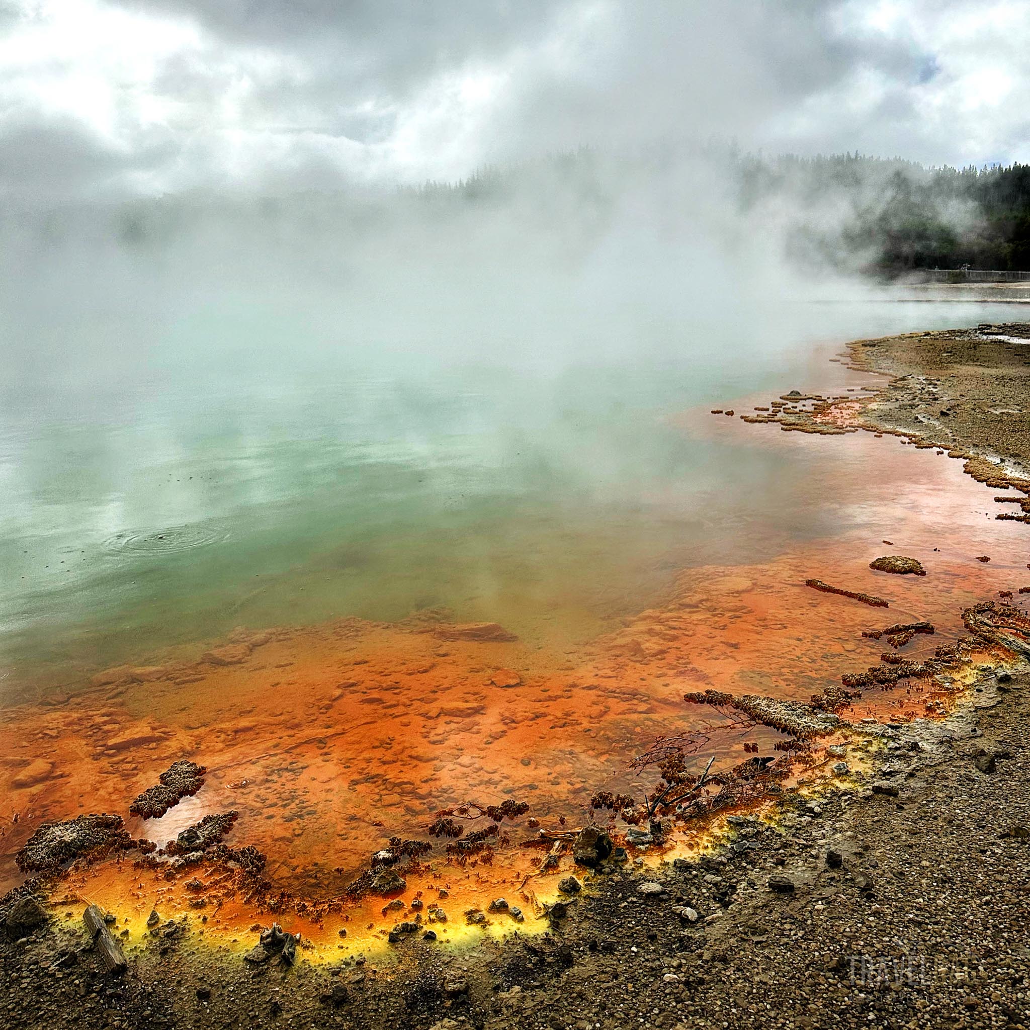 Champagne Pool